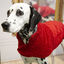 Outech Bi-Texture Casaco Vermelho para cães, , large Indicador imagem número 8